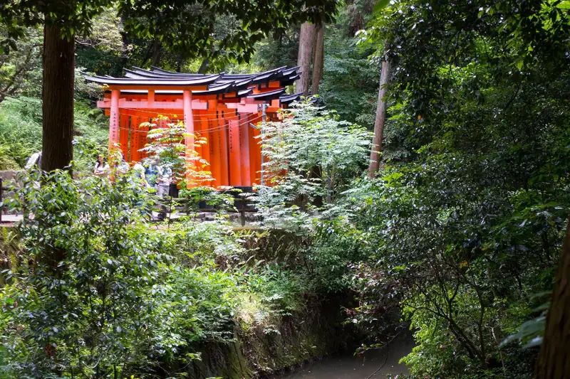 I torii arancioni del Fushimi Inari, Kyoto
